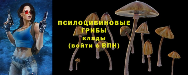 синтетический гашиш Верхний Тагил