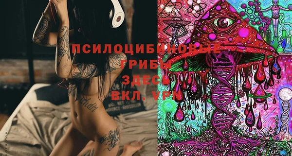 спайс Нягань